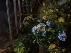 -斯多格书乡(北京大学畅春园店)