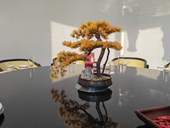 -隅焰·三生三味·手作川菜(金沙天街店)