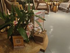 -施奈儿.洗头頭療.按摩SPA.采耳(上梅林店)