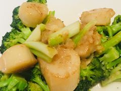 -新同乐鱼翅酒家(美丽华店)