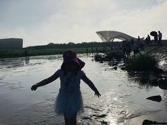 -南汇嘴观海公园