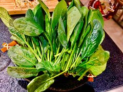 -湊湊火锅·茶憩(世博大道店)
