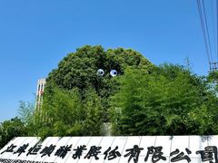 -镇江中国醋文化博物馆