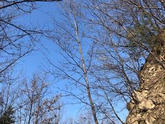 -终南山南五台景区