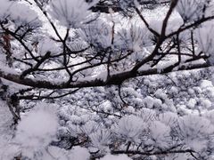 -临平公园(临平街道)
