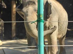 -麗枫酒店(广州番禺汉溪大石地铁站店)