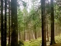 -硗碛藏寨·神木垒景区