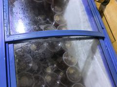 -马记大锅煮(总店)