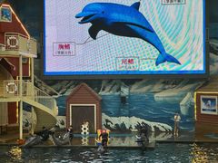 -西安曲江海洋极地公园