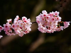 -静安雕塑公园