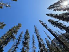 -白马王朗自然风景区