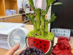-双季花艺园艺市场(浦东店)