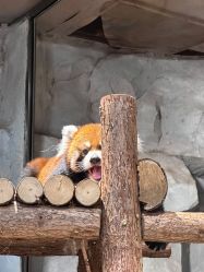 -Zoolung Zoolung动物主题公园(海信广场店)