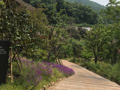 -杭州开元森泊度假乐园