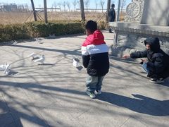 -天津妈祖文化园