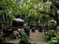 -Fern Forest Cafe