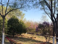 -永定河休闲森林公园