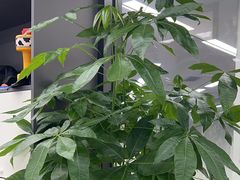 -新东方斯芬克艺术留学作品集培训(郑州校区)