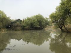 -长兴太湖图影湿地文化园