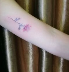 -明星刺青·洗纹身