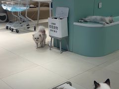 -怪兽屋·羊驼·猫咖·狗咖(俊华广场店)