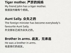 -引领英语·成人口语·雅思托福