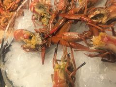 -红盔甲·小龙虾(人民广场店)