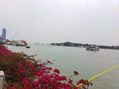 -八婆婆烧仙草(中山路店)