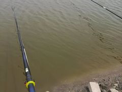 -白渔泡湿地公园