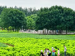 -北京奥林匹克公园