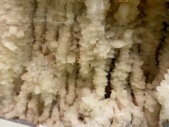 -浙江自然博物院(杭州馆)