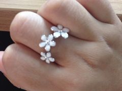 -Pandora潘多拉珠宝(虹口龙之梦店)