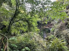 -碧峰峡风景区
