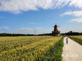 地点在天府新区籍田街道天府粮仓一带