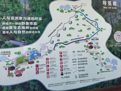 -野象谷景区