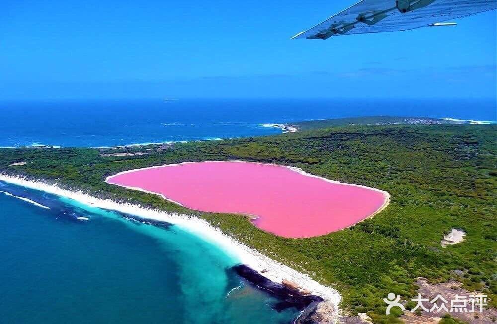 搭乘小型飞机,沿着海岸线飞行不远
