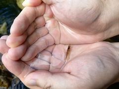 -乌岩头民俗博物馆