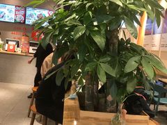 大堂-红荔村肠粉(中银店)