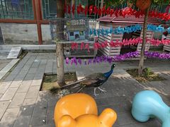 -有喜胶东小馆(超极合生汇太申祥和店)