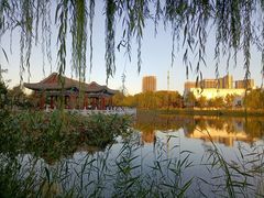 -西海子公园