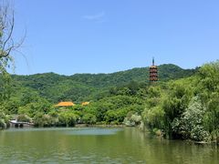 -天下玉苑