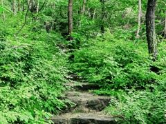 -老象峰
