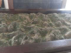 -清风小镇闯关东影视基地