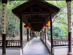 -穹窿山景区