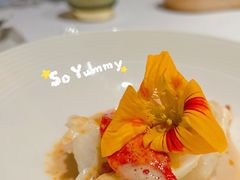 -蝶舍·MAISON PAPILLON