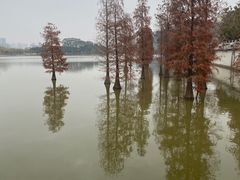-顺峰山公园