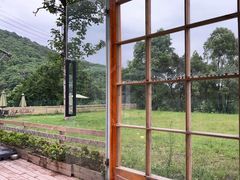 -趣多多宠物公园·宠物训犬学校·宠物寄养