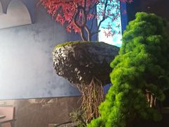 -1718海鲜姿造(苏宁宴请臻选店)