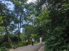 -广州市帽峰山景区