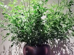 -山里亲戚(淞虹路店)